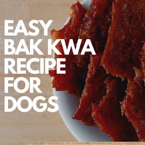 Easy DIY Chinese New Year Bak Kwa Treat For Your Dog 2021