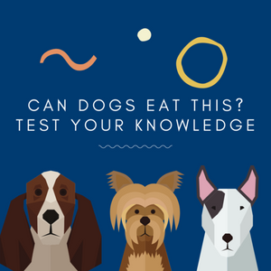 Are you a dog owner? Test your knowledge on what's good & bad for pups!